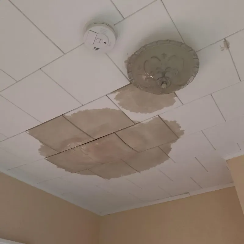 Ceiling Water Damage Repair in Hesston, KS