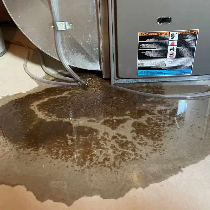 Pipe Burst and Leak Restoration in Hesston, KS