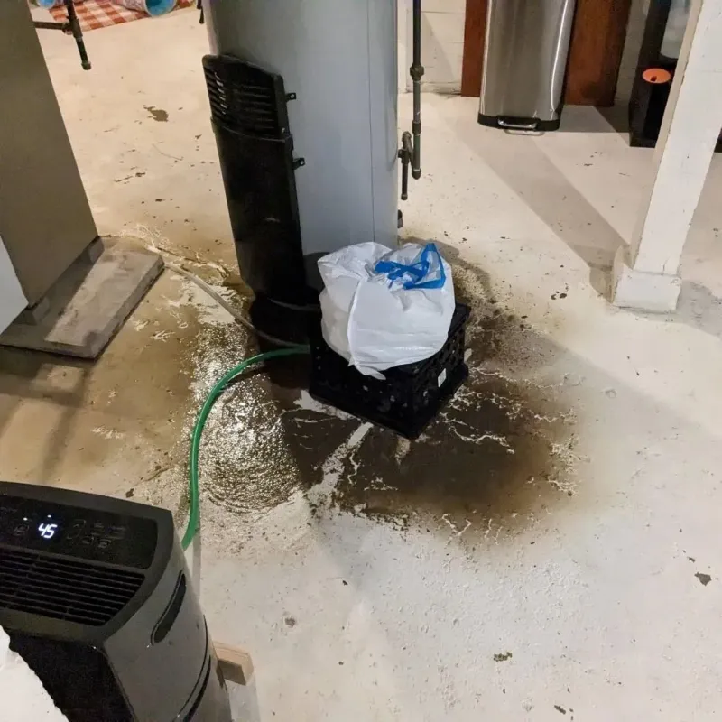 Sewage Backup Cleanup Service in Hesston, KS